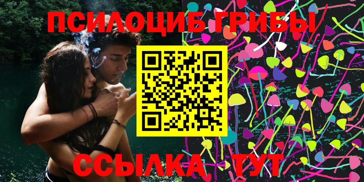 Галлюциногенные грибы Psilocybine cubensis  цена   Москва  Вход с VPN 