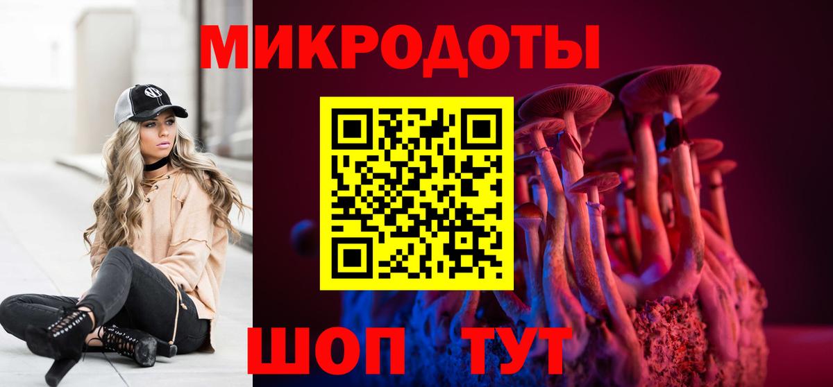 Псилоцибиновые грибы Psilocybe Москва