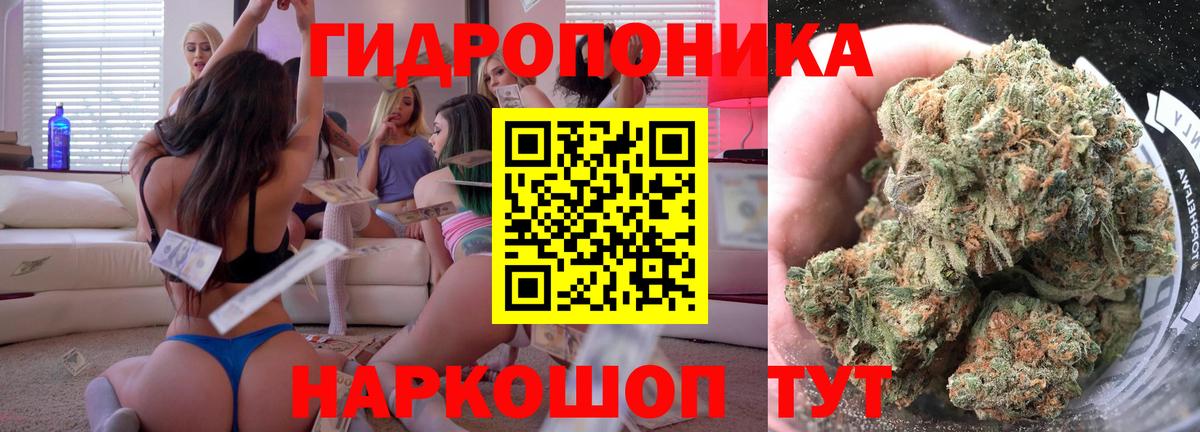МАРИХУАНА конопля Москва