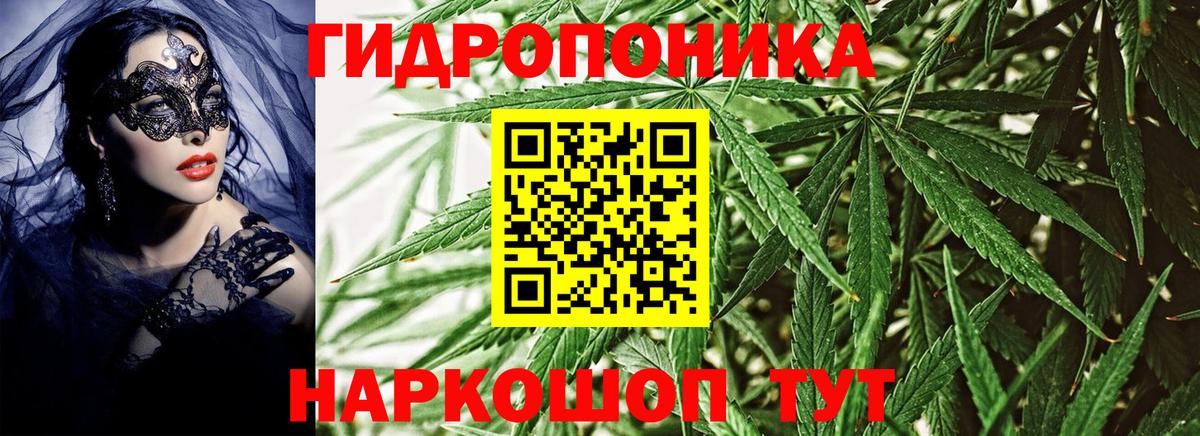 Бошки марихуана White Widow  Бошки Шишки SATIVA & INDICA  Москва  Вход с VPN 